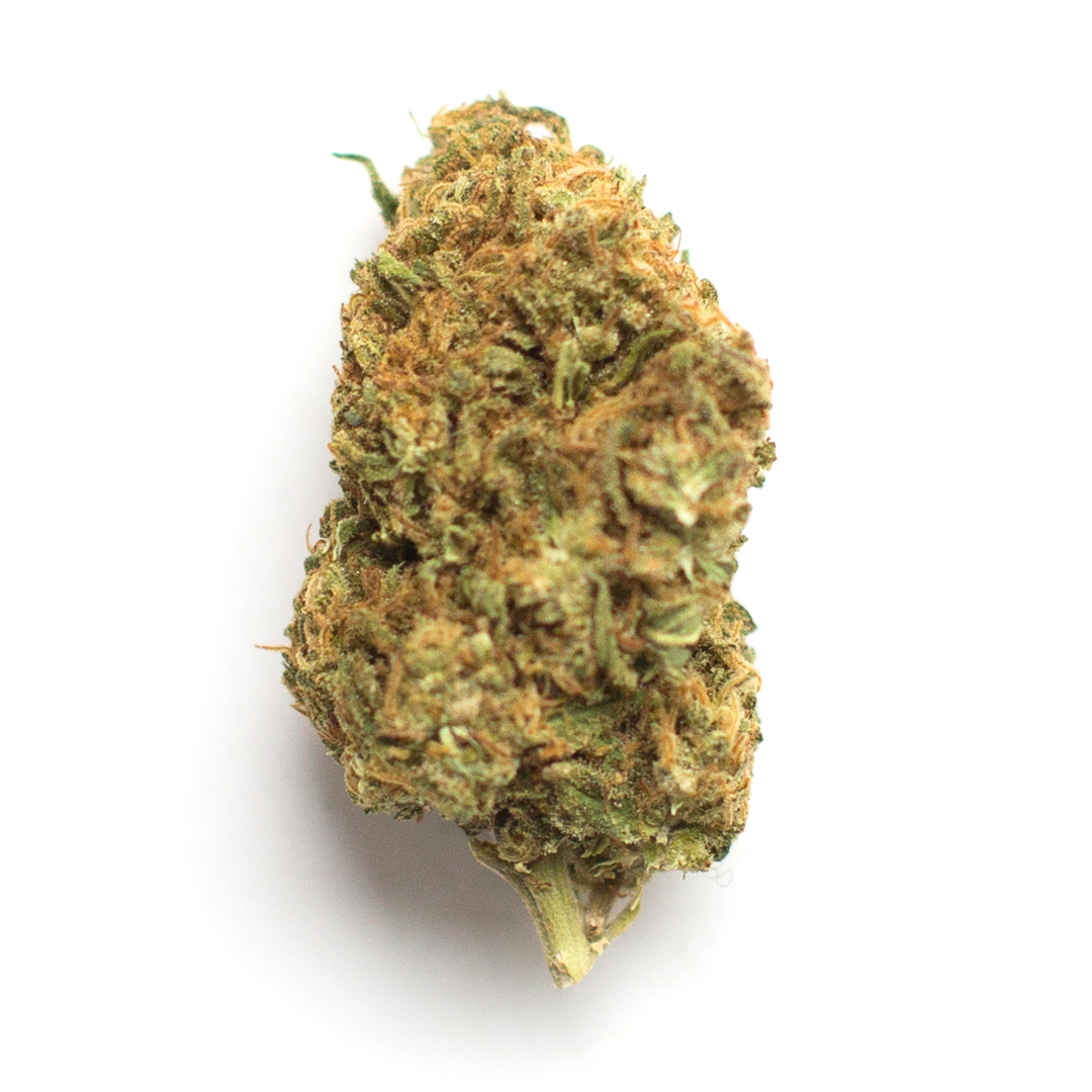 Black Domina