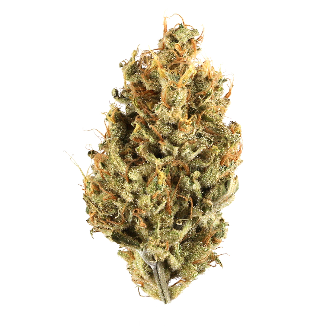 Black Jack
