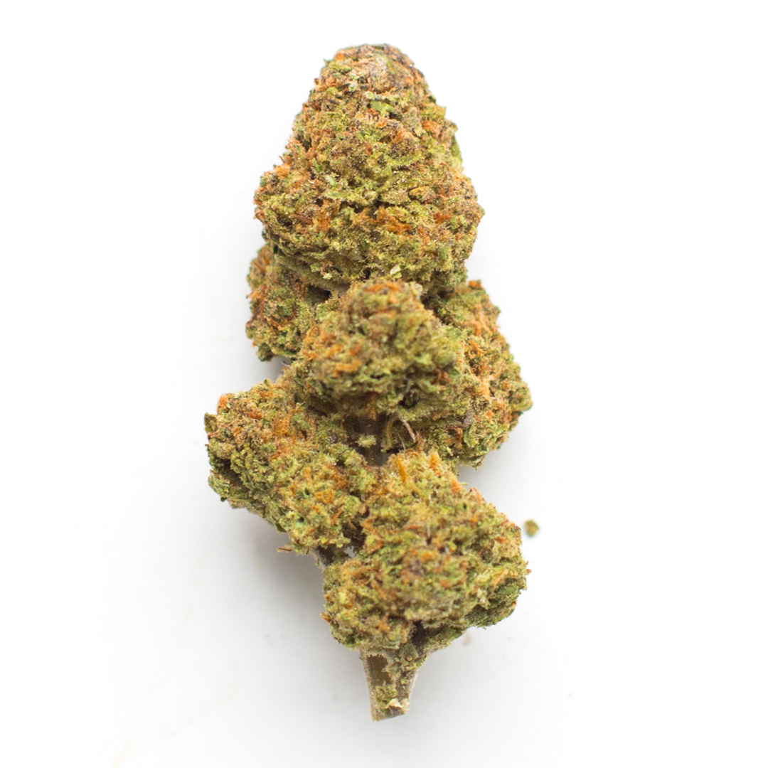 Jack The Ripper