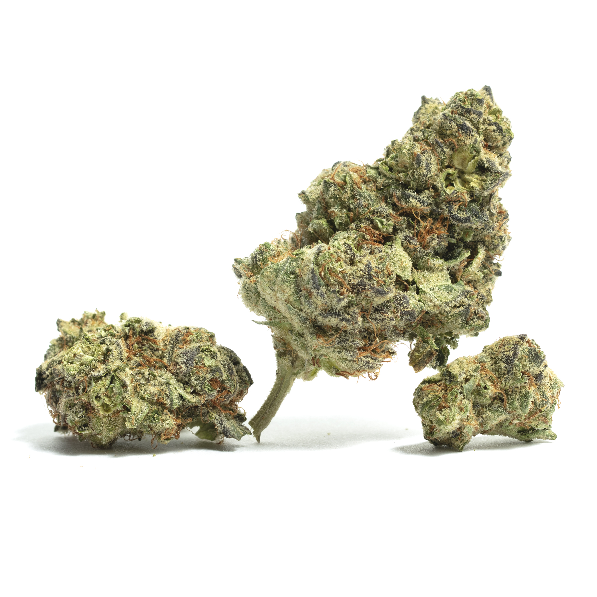 Lemon Skunk