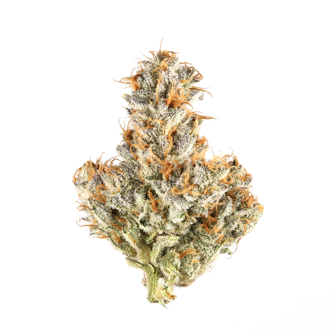 Mendo Breath