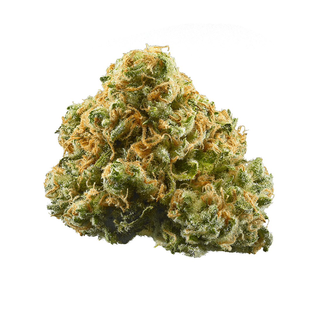 Sage